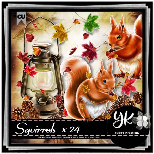 (image for) Squirrels